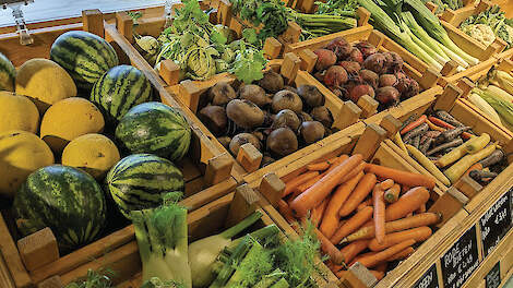 Met een startkapitaal van drie miljoen euro als basis, wordt het IFDV de komende jaren verder uitgebouwd.