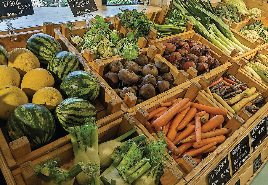 Met een startkapitaal van drie miljoen euro als basis, wordt het IFDV de komende jaren verder uitgebouwd.