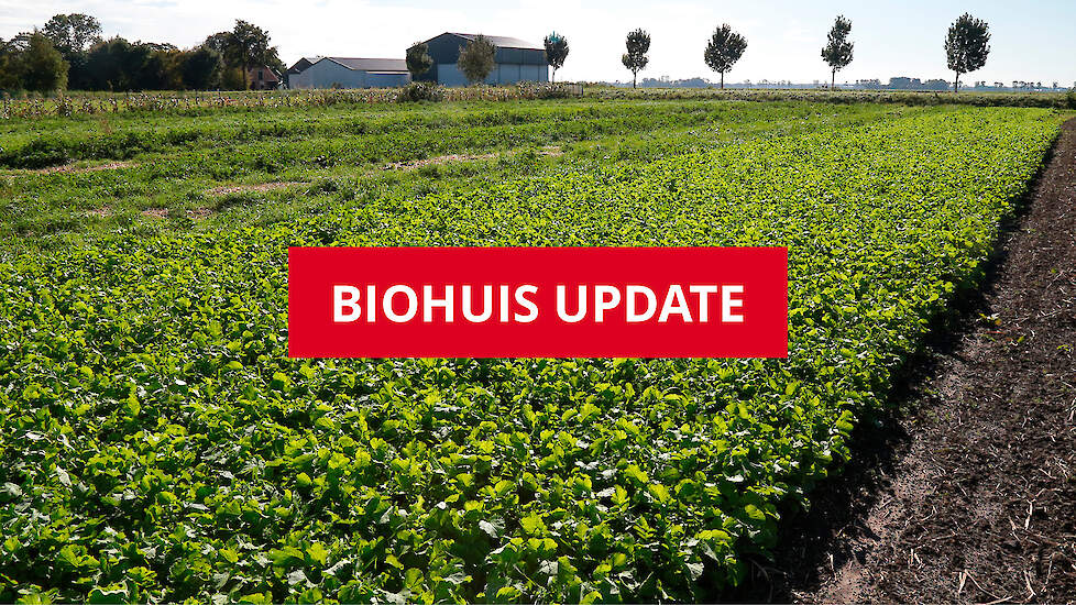 In Biohuis update geeft Ekoland maandelijkse een overzicht van wat er allemaal speelt bij de vereniging van biologische boeren en boerinnen.