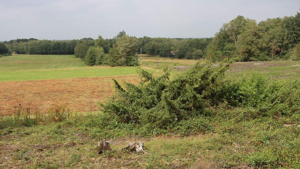 Dal van de Mosbeek gezien vanaf de Galgenberg.
