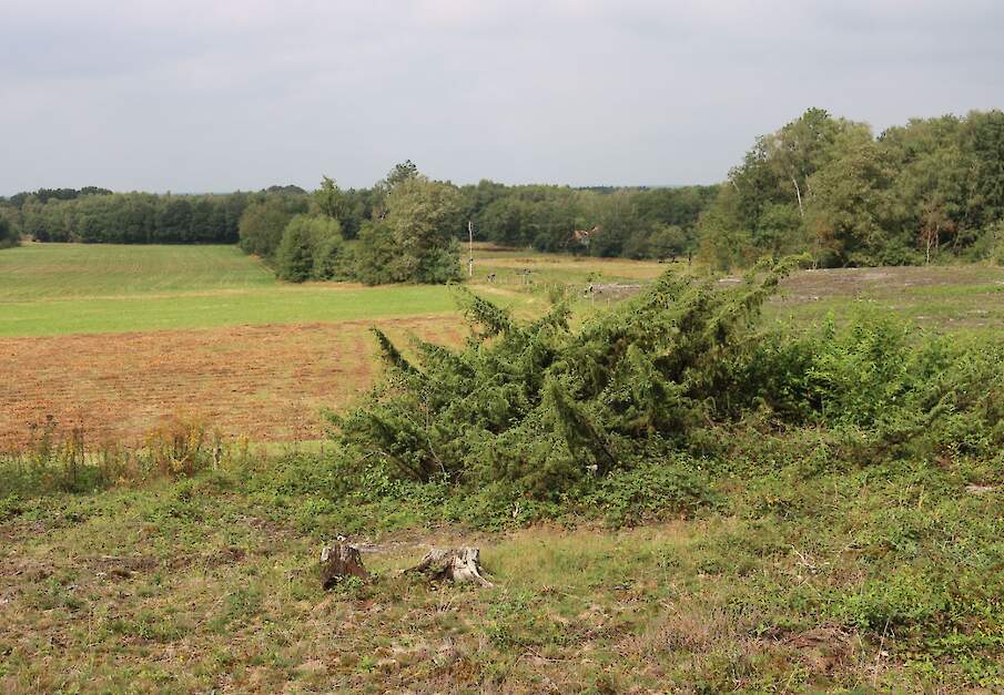 Dal van de Mosbeek gezien vanaf de Galgenberg.