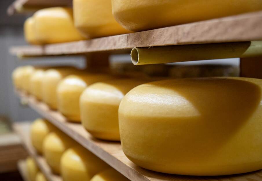 Kazen liggen te rijpen op een plank.