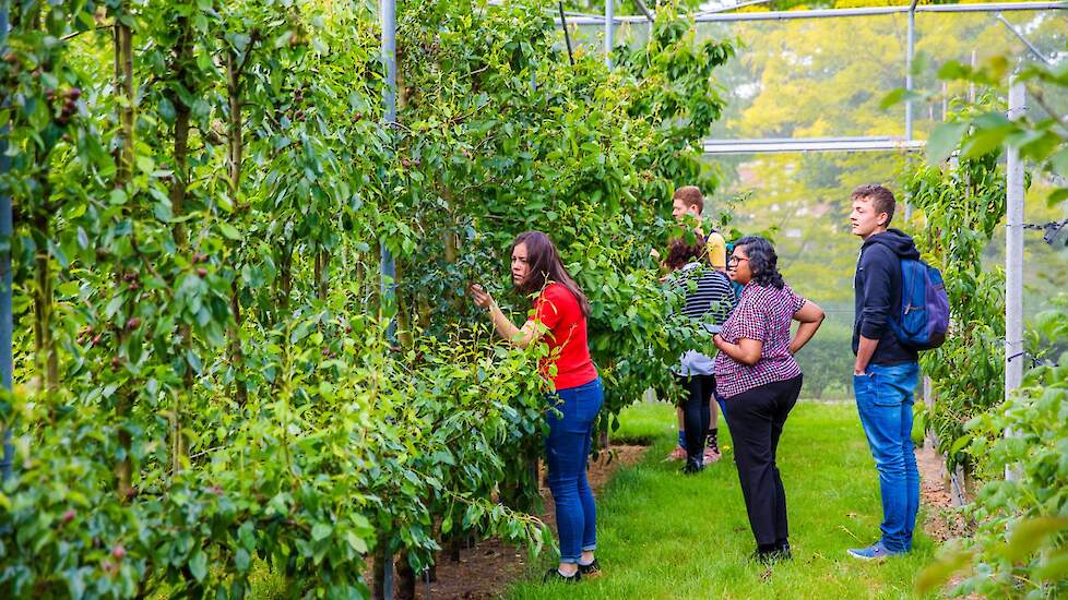 Studentenonderzoek versterkt de toekomst van de openteelt