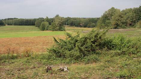 Dal van de Mosbeek gezien vanaf de Galgenberg.