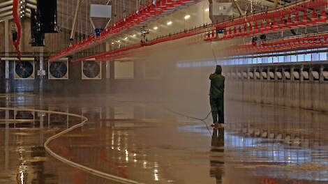 Een stal wordt schoongespoten met een hogedruikspuit