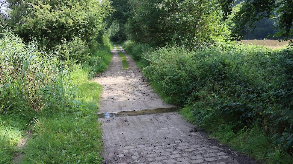 Een voorde in het Natura 2000-gebied Springendal & Dal van de Mosbeek.