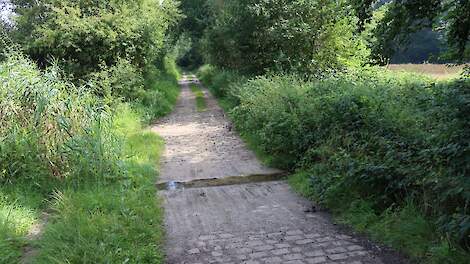 Een voorde in het Natura 2000-gebied Springendal & Dal van de Mosbeek.