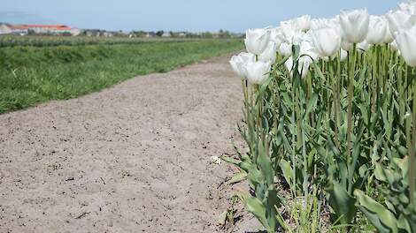 Beeld ter illustratie.