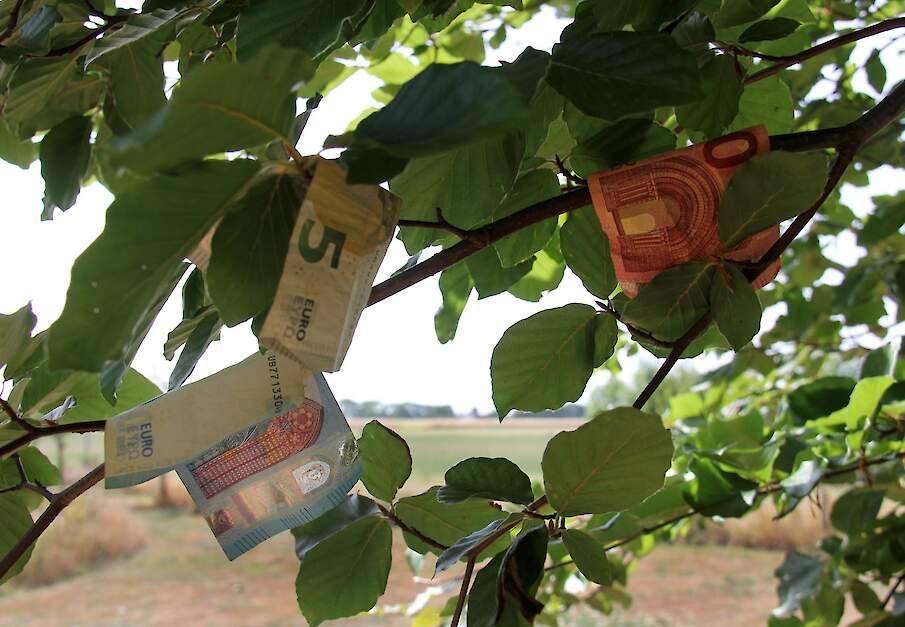 Beeld ter illustratie.