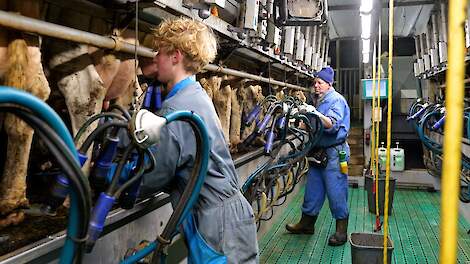 Trentmilk werkt met een 2 x 16 rapid exit melkstal.