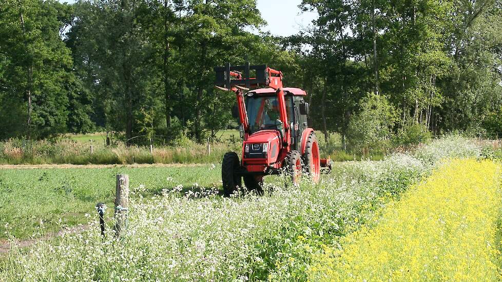 Trekker tussen bloemen - Redactie Groen Kennisnet