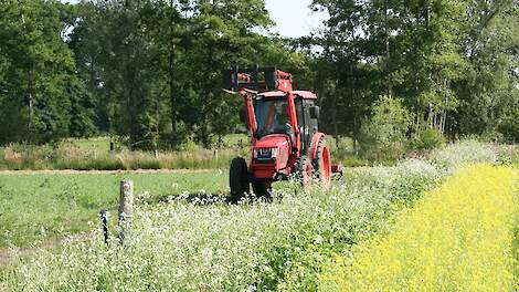 Trekker tussen bloemen - Redactie Groen Kennisnet