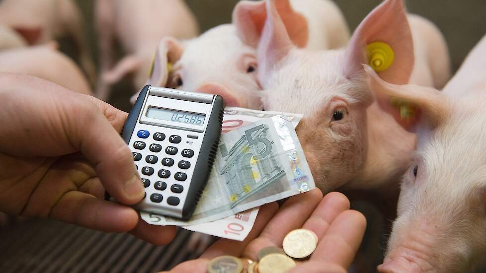 PRRS kost de Nederlandse varkenssector zo&rsquo;n 50 tot 150 miljoen euro per jaar.