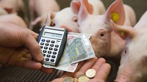 PRRS kost de Nederlandse varkenssector zo&rsquo;n 50 tot 150 miljoen euro per jaar.