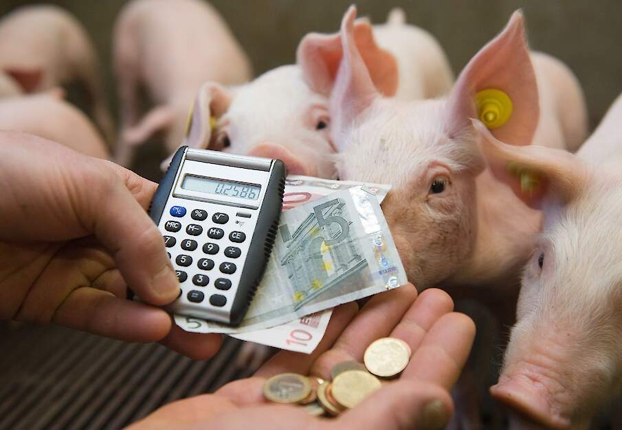 PRRS kost de Nederlandse varkenssector zo&rsquo;n 50 tot 150 miljoen euro per jaar.