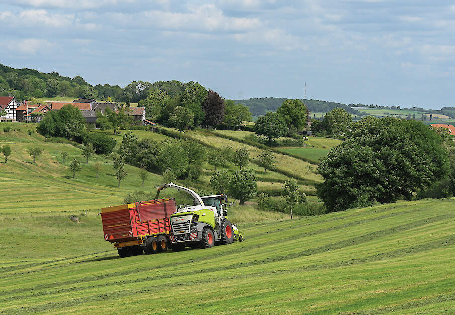 Het landschap met vijfsterrenstatus.