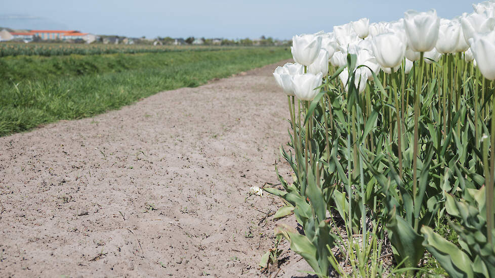 De omwonenden maken zich zorgen over de gezondheid, hun dieren en de natuur, vanwege het gebruik van die middelen