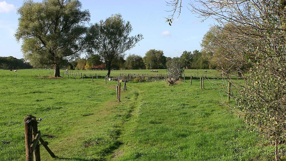 Een wandelpad tussen de weides.