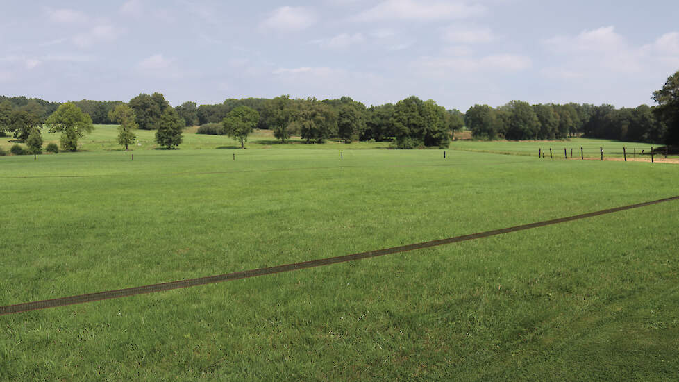 Werkgroep monitoring Springendal & Dal van de Mosbeek noemt de houding van de provincie Overijssel &lsquo;onprofessioneel&rsquo;.