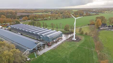 Happy Chicken Farm houdt op zeven locaties waaronder dit bedrijf in Hooghalen (DR) 240.000 leghennen.