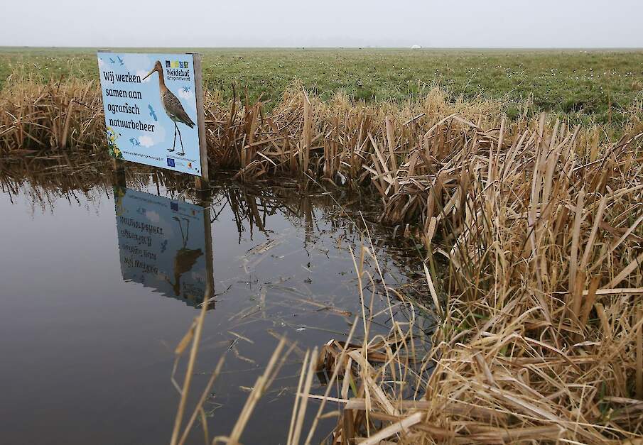 Beeld ter illustratie.