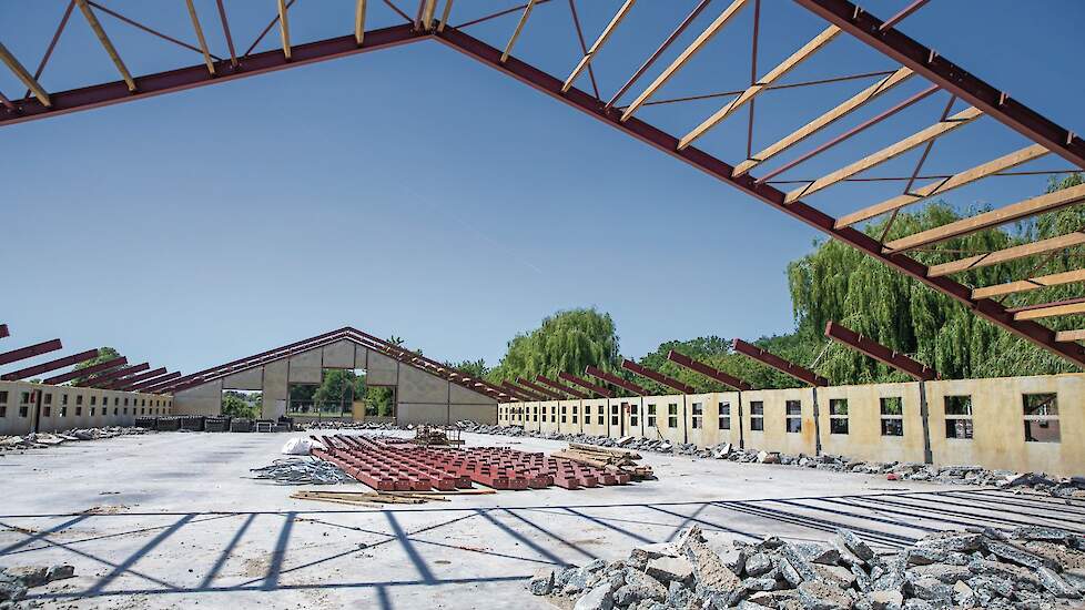 De Europese Commissie staat achter de plannen van het kabinet-Jetten voor een &lsquo;substanti&euml;le&rsquo; inkrimping van de veestapel en bijgevolg forse financi&euml;le aderlating voor de veehouderijsector.