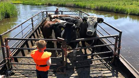 Eigen foto Tim Zijp.