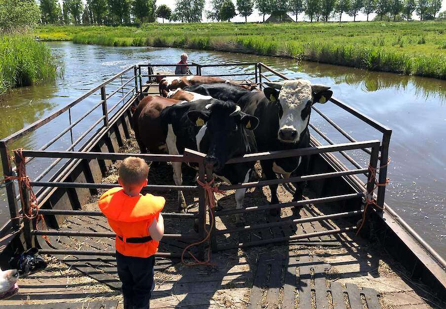 Eigen foto Tim Zijp.