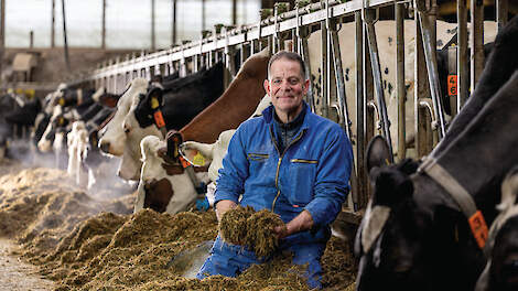 Haaije van der Meulen in de stal