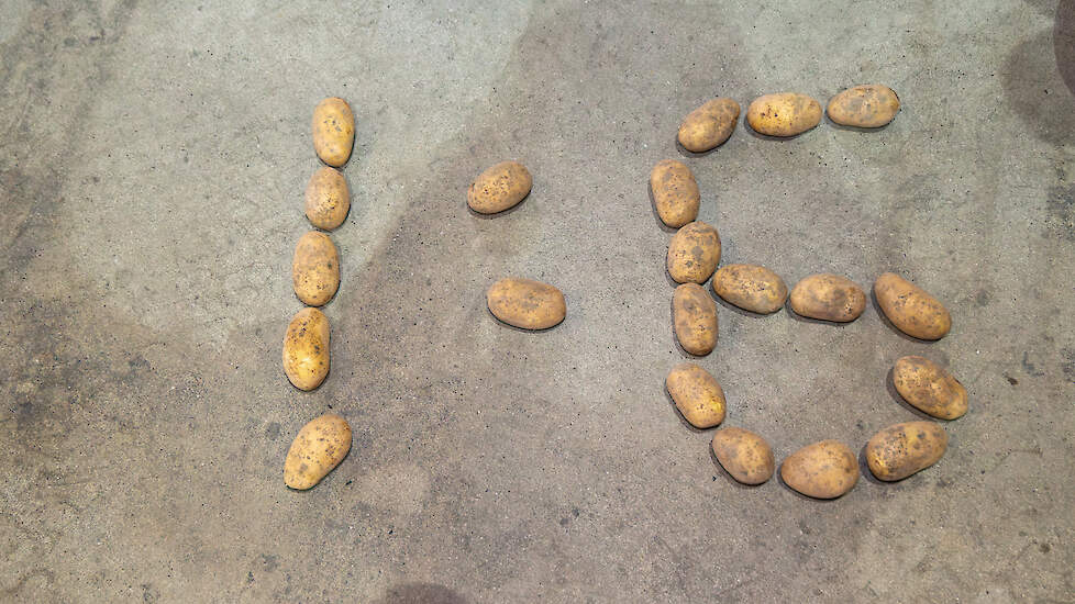 In het gebied tussen Nagele en Creil (FL) wordt de grond intensief benut. Toch kwamen we er twee aardappeltelers tegen die er een &eacute;&eacute;n op zes bouwplan op na houden.