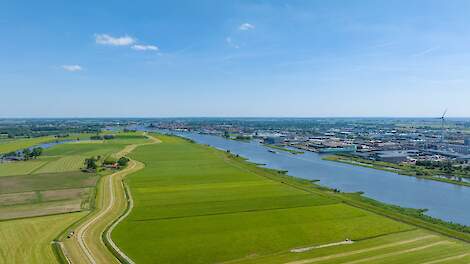 Hoe bacteri&euml;n stikstofverlies kunnen beperken en bijdragen aan een gezonde bodem