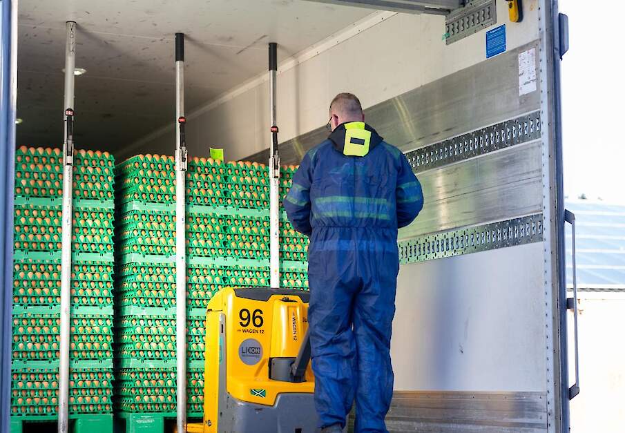 De gevraagde volumes eieren liggen duidelijk boven de eerdere verwachtingen in Duitsland. Beeld ter illustratie.