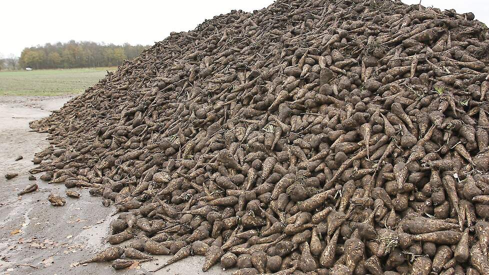 Beeld ter illustratie.