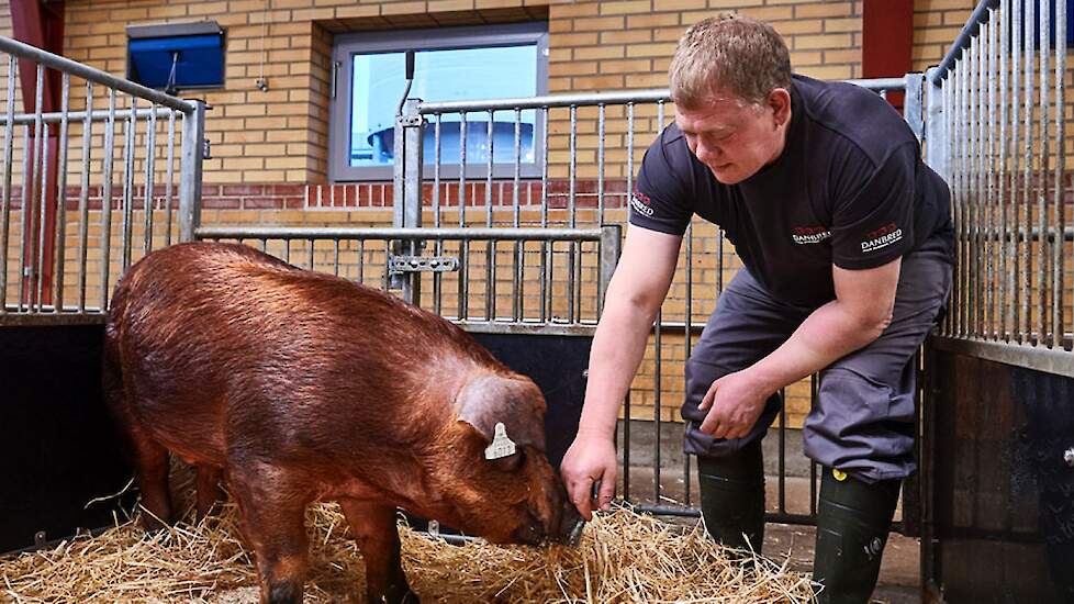 Fokdoel DanBred zichtbaar in benchmarkdata