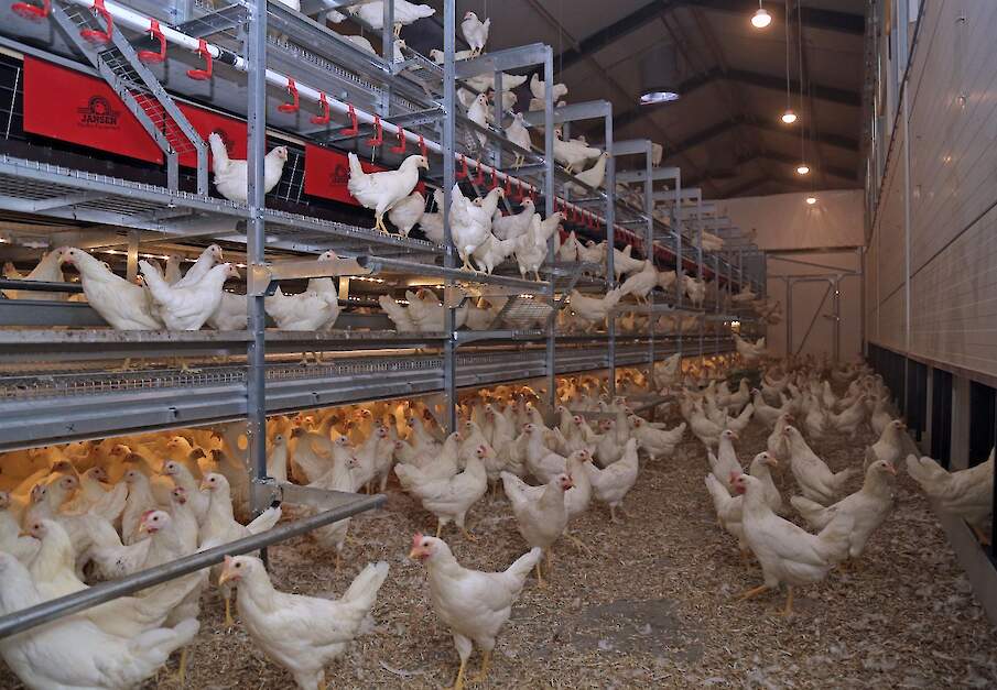 Beeld ter illustratie.