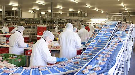 Beeld ter illustratie.