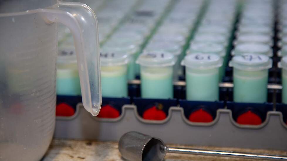 Automatisch melksysteem in gebruik bij koe