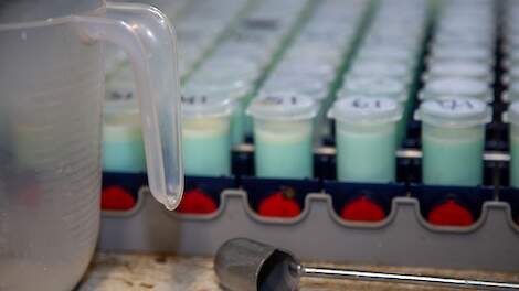 Automatisch melksysteem in gebruik bij koe