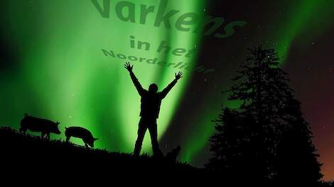 Wout Mutsaers, varkens- en voerdeskundige in Noorwegen