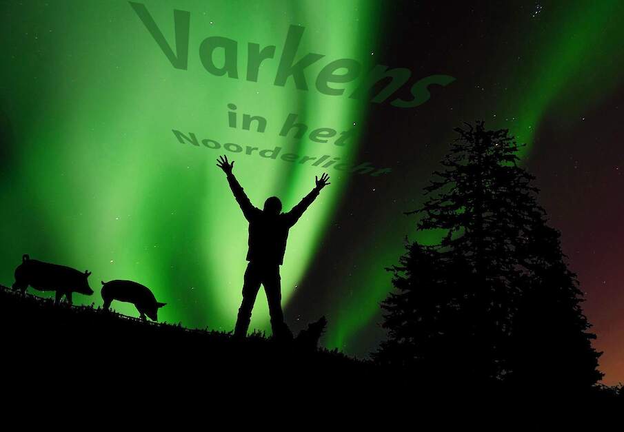 Wout Mutsaers, varkens- en voerdeskundige in Noorwegen