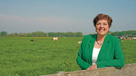 Willemien Koning-Hoeve