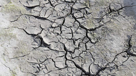 Waterschap Scheldestromen dreigde akkerbouwer uit Kamperland (ZL) terecht met een dwangsom omdat hij water uit een sloot haalde terwijl er een onttrekkingsverbod was afgekondigd.