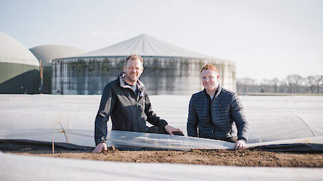 Hermen Hoorn en zijn vaste medewerker Lennard Schuiling tussen de asperges.