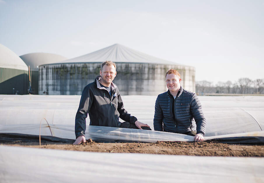 Hermen Hoorn en zijn vaste medewerker Lennard Schuiling tussen de asperges.