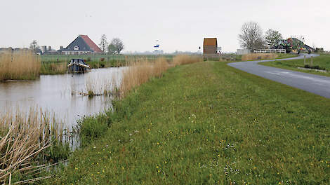 Het Friese veenweidegebied kampt met ernstige bodemdaling, een proces dat door vernatting kan worden vertraagd.