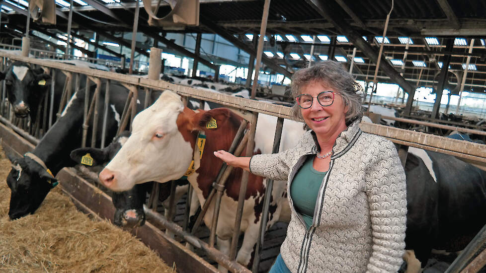 Geeske Holtrop in de koeienstal
