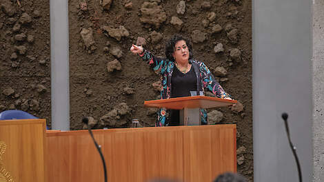 Caroline van der Plas in de Tweede Kamer