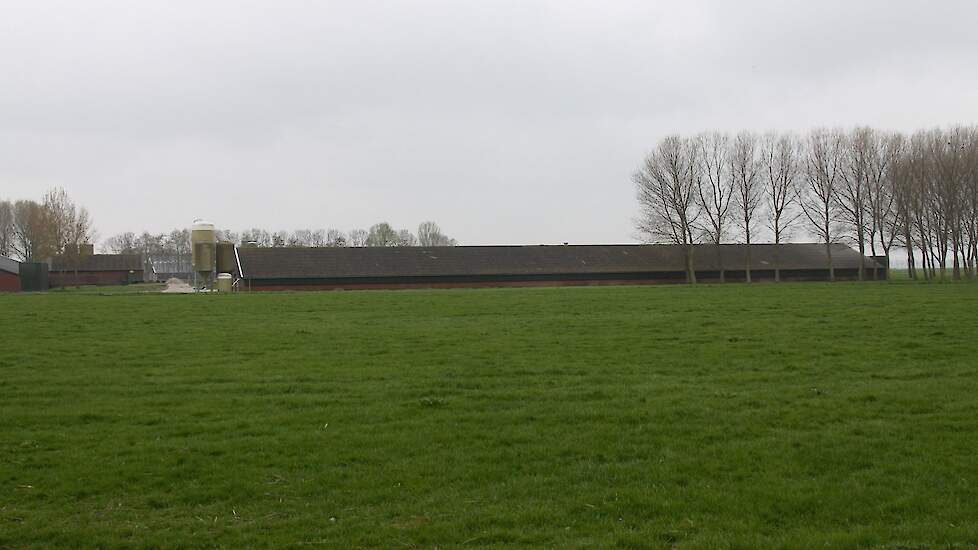 Provincie Gelderland wil de komende jaren de omvang van de veehouderij beperken. De provincie denkt hiervoor aan regels rond het bouwblok.