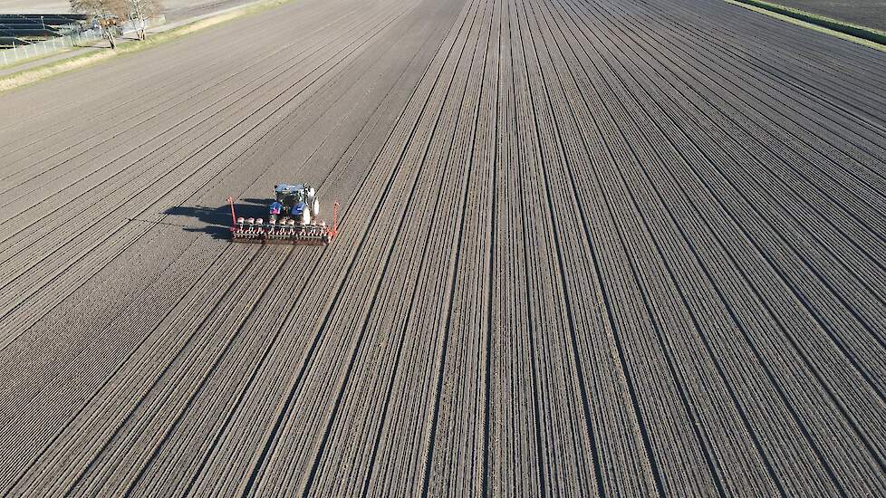 Uienzaaien Nemater MG 2025