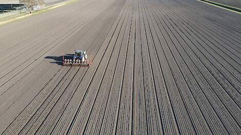 Uienzaaien Nemater MG 2025